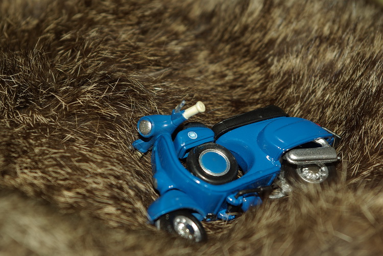 Test macro: vecchio zoom Pentax F 28/80 montato su  K10D